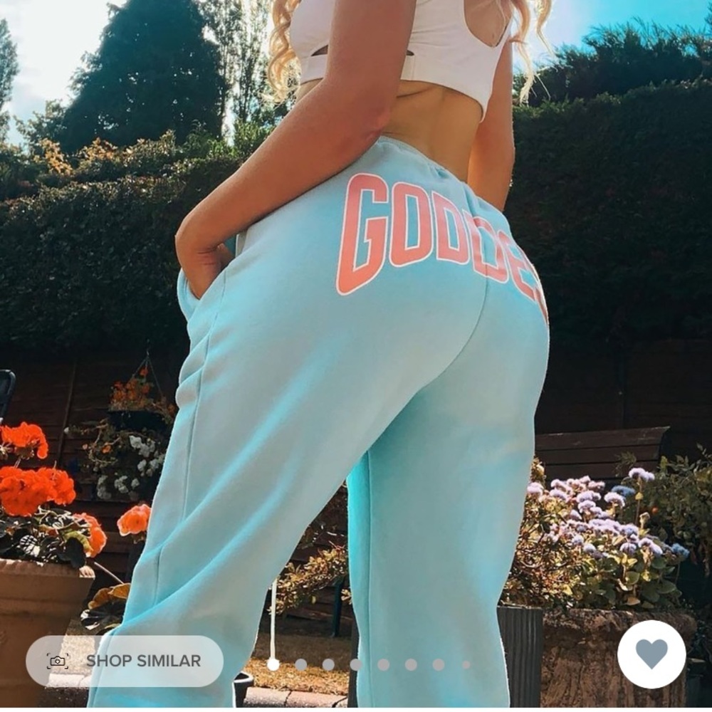 Fashion nova godess sweatpants